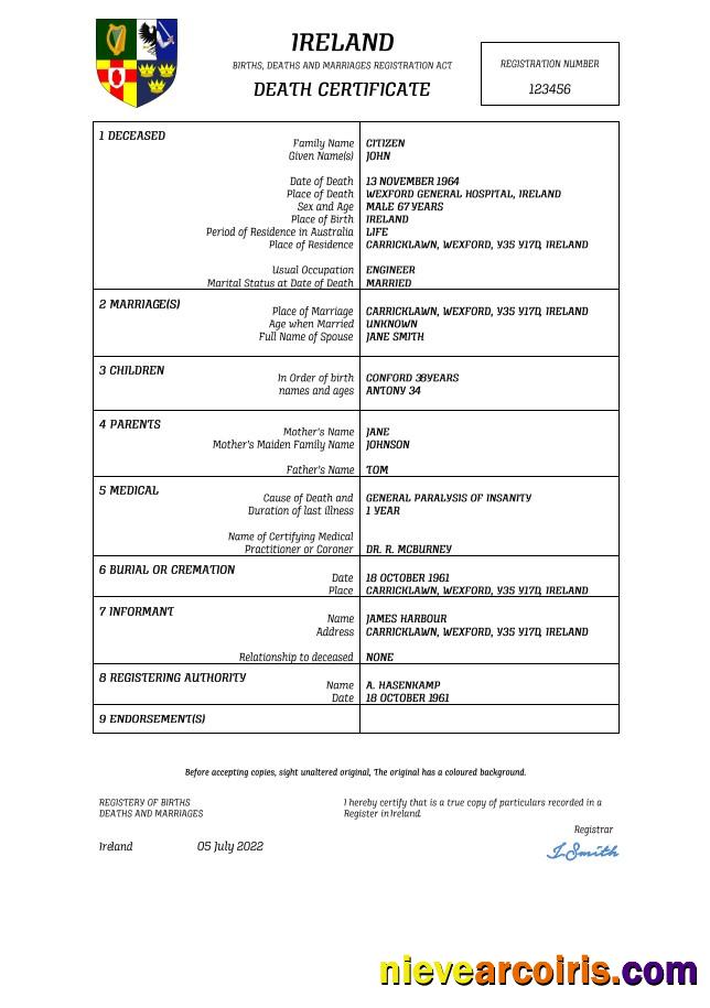 Ireland vital record death certificate